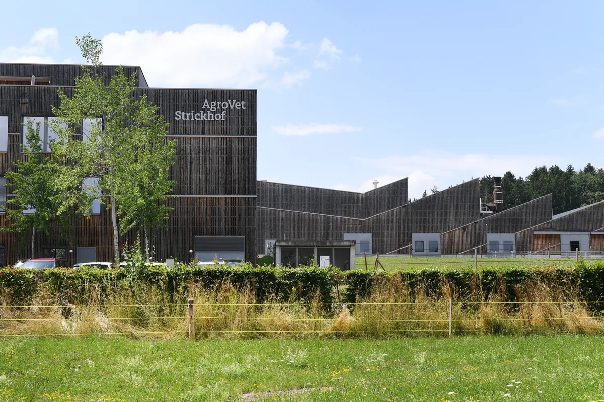 Mehrere Gebäude. Ein Hof, eine Institution für landwirtschaftliche Betriebsentwicklung.